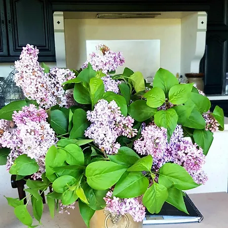 Bed and Breakfast La Revetizon 3*